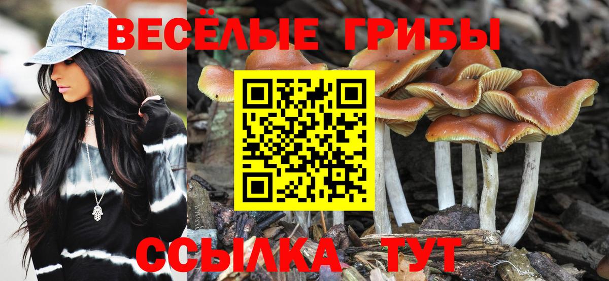 Североуральск  Псилоцибиновые грибы Magic Shrooms  наркотики  Вход с VPN 